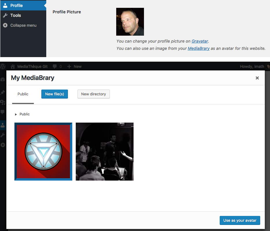 A contributor's local avatar management