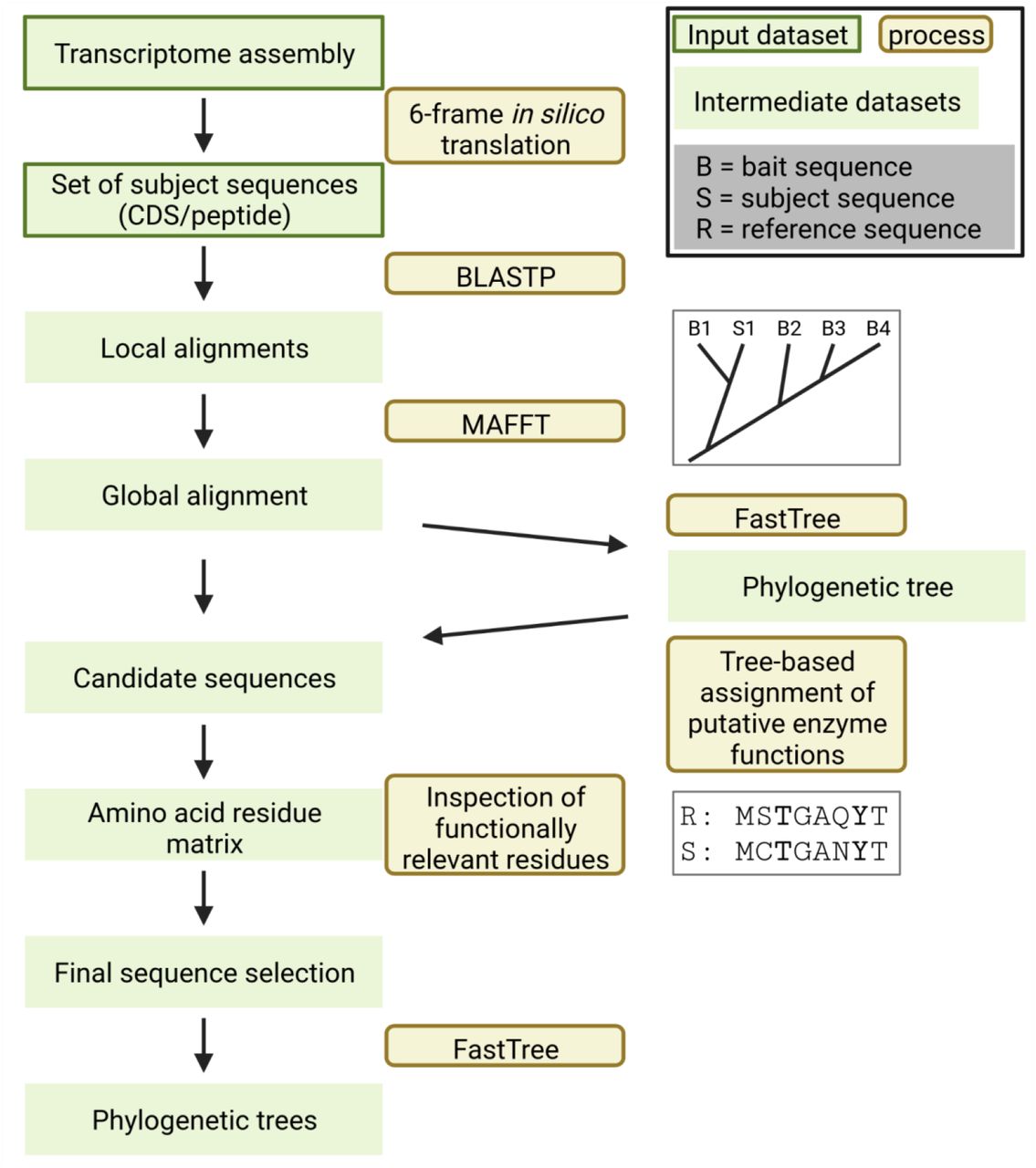 KIPEs workflow (Pucker <i>et al.,</i> 2020; doi:10.3390/plants9091103; Rempel&Pucker,2022; doi:10.1101/2022.06.30.498365)