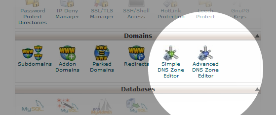 Select Advanced DNS in cPanel