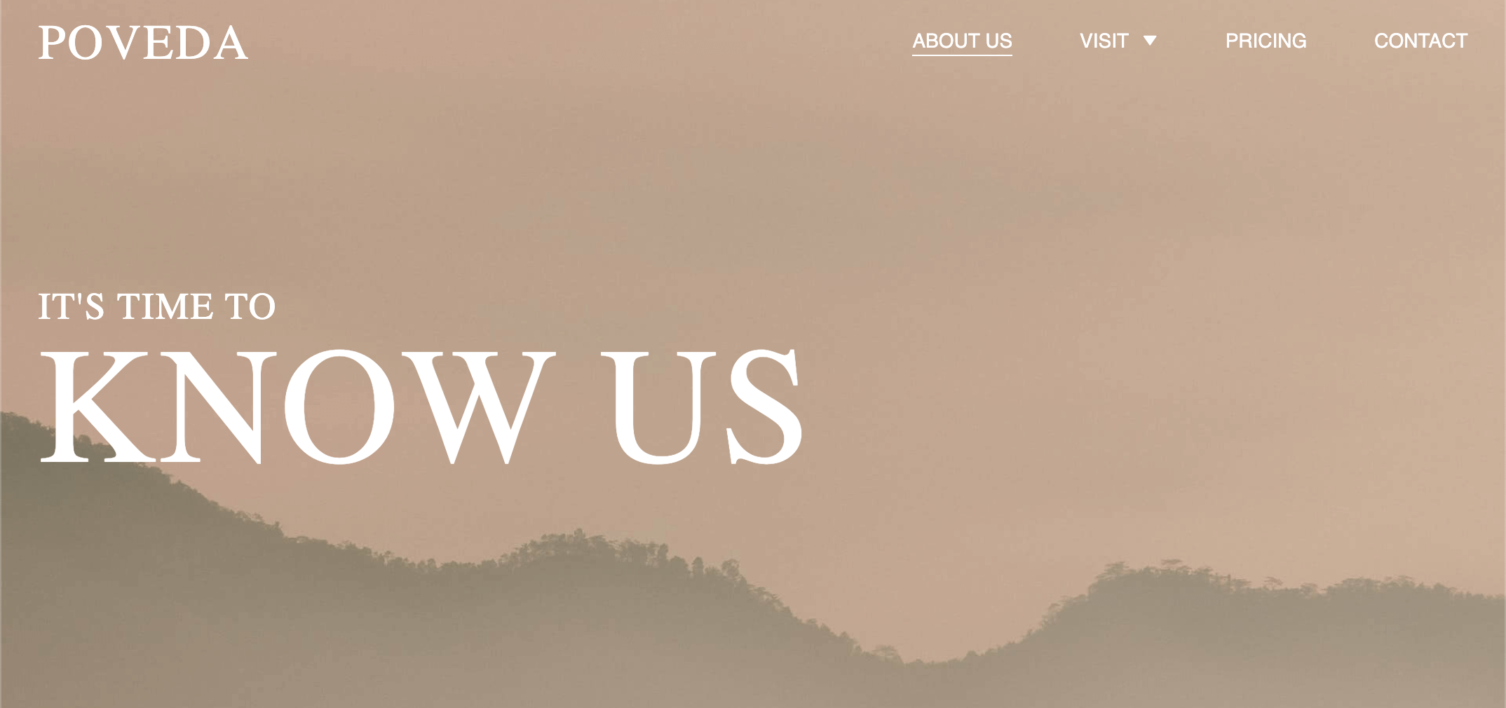 About Us Page