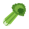 Celery
