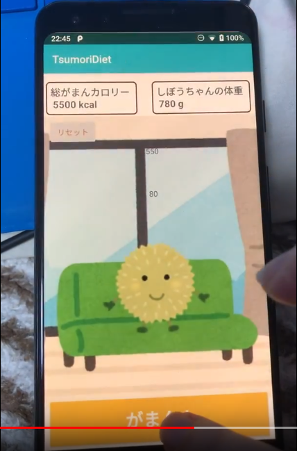 つもりダイエット画面