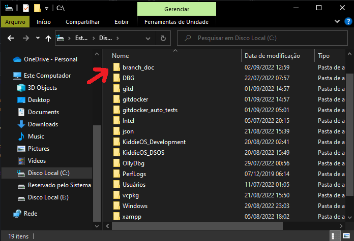 Pasta do branch_doc no disco local C