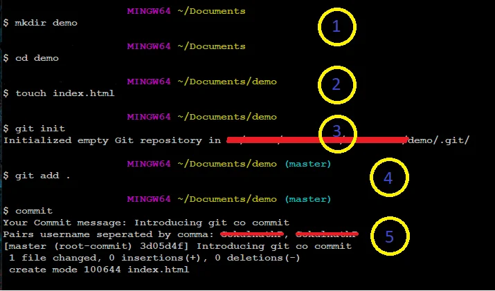 Use git co commit