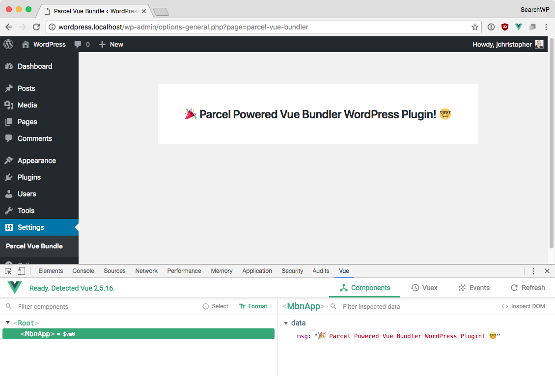 Parcel bundled Vue application in a WordPress plugin