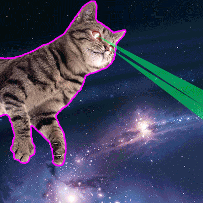 cat laser