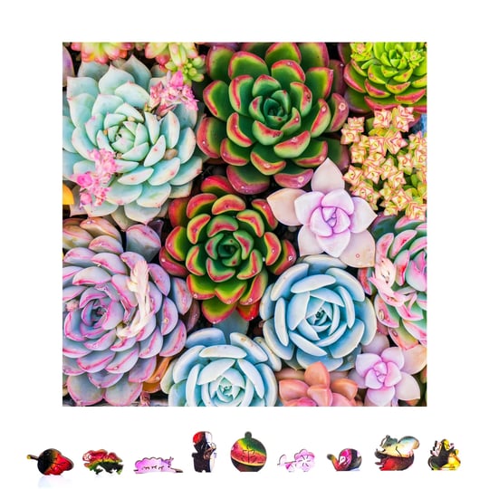 zenchalet-succulent-sensation-premium-wooden-jigsaw-puzzle-for-adults-featuring-1000-uniquely-shaped-1