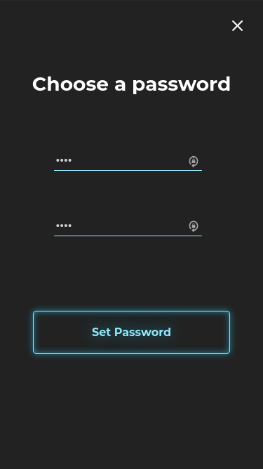 A user is setting its password