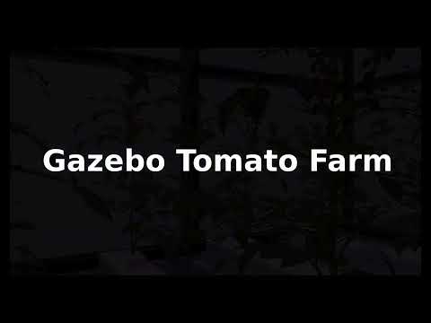 Tomato Farm/Glasshouse Generator/Simulator