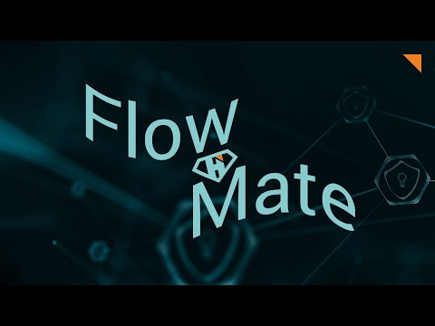 FlowMate Demo Video