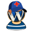 WP Medic Logo