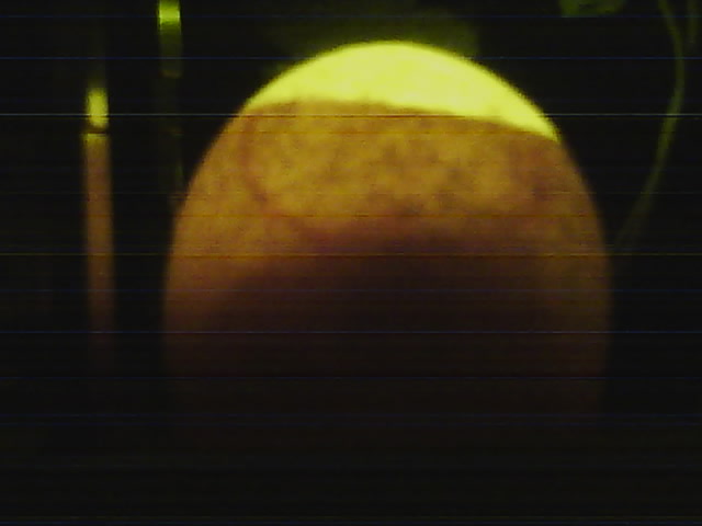 Egg_00