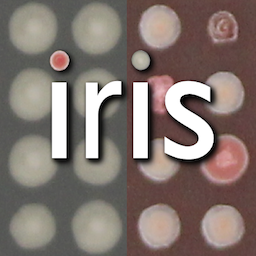 iris logo