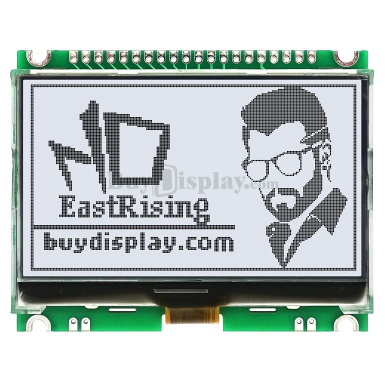 Display Module