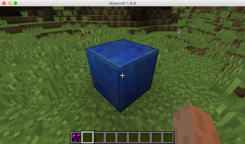 The 'cool' block looking like a lapis block