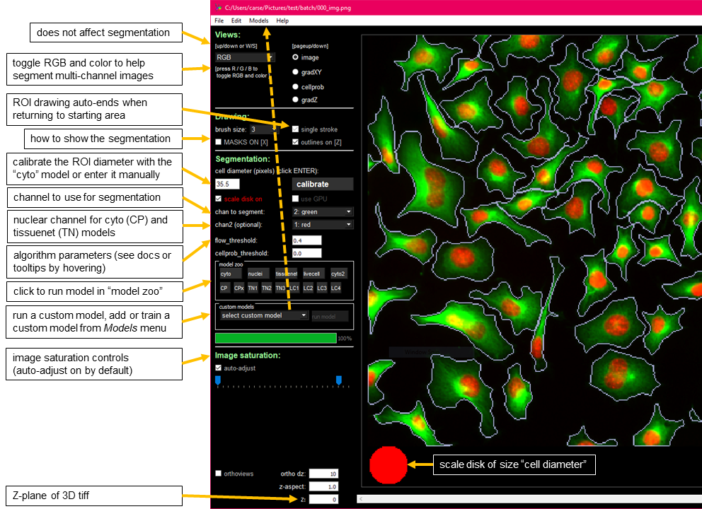 cellpose2 gui screenshot