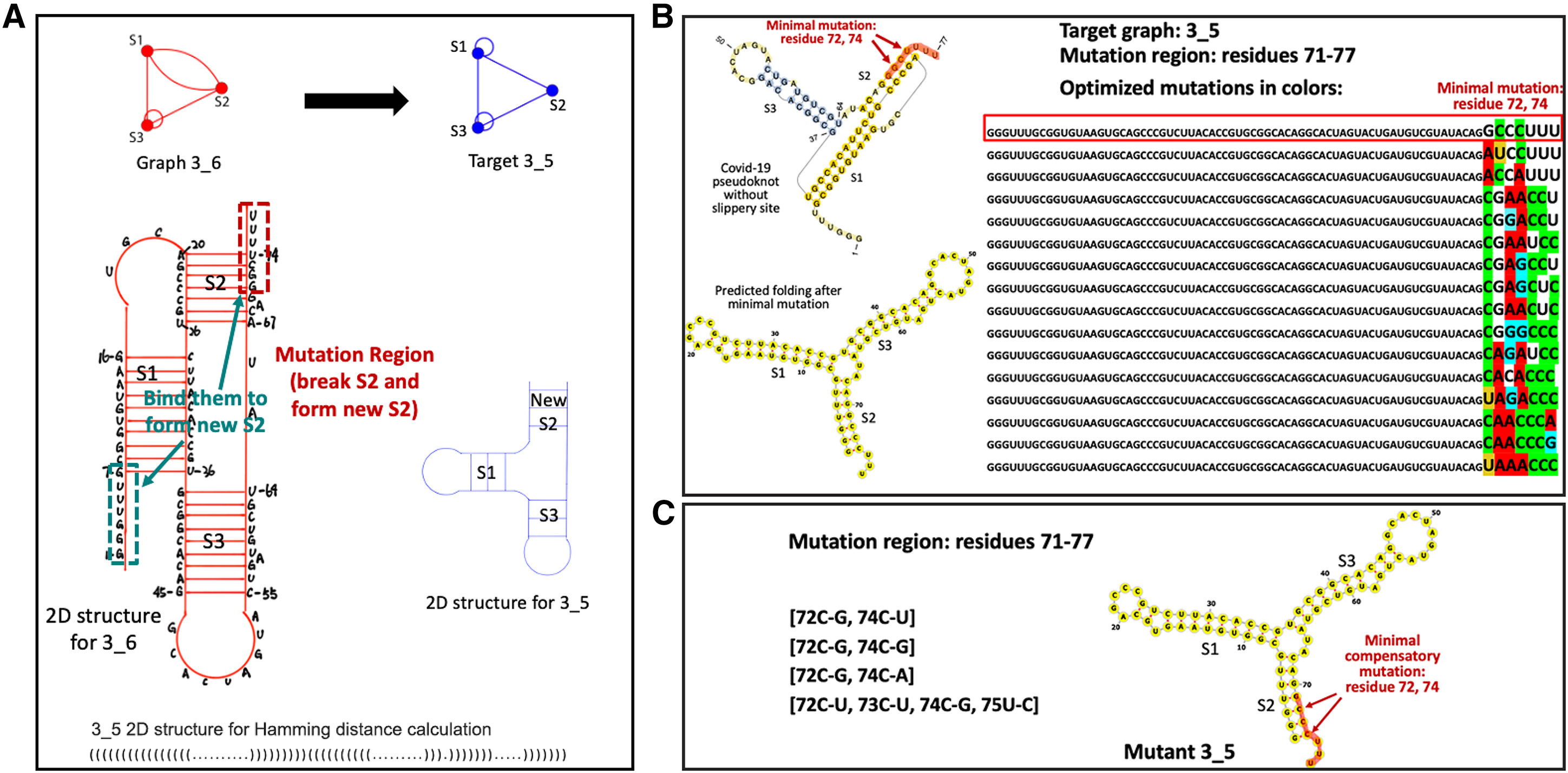 Figure 2 in Schlick et al. Biophys J. 2021