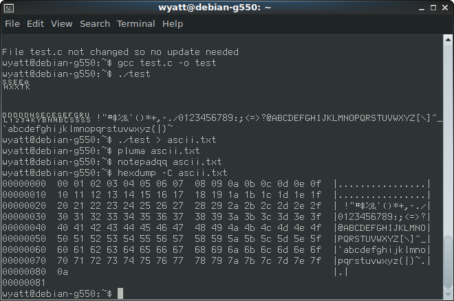 Screenshot of the ASCII set on my terminal