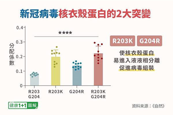 Omicron变种在核衣壳蛋白上出现两大突变，使病毒有利复制。（健康1+1／大纪元）