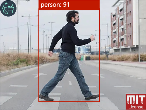 person Detection