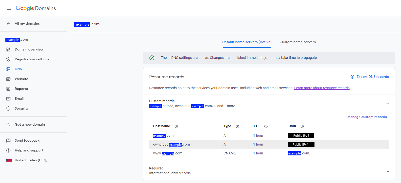 Google Domains DNS Setup