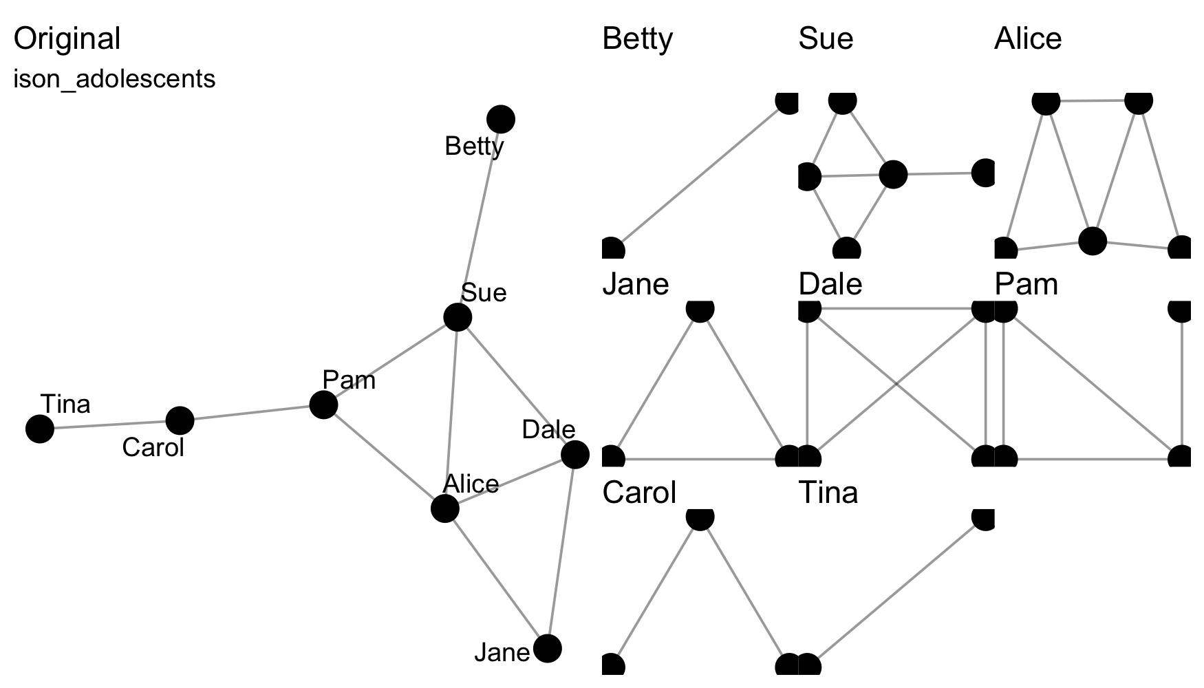 Graphs illustrating decomposition of a network into egonets