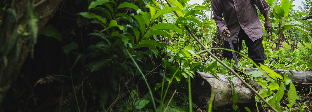 Man in Peru rainforest