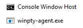 Console Window Host & winpty-agent.exe