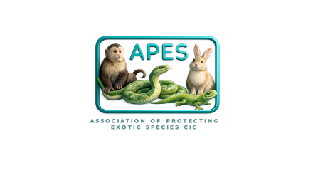 APES CIC Logo
