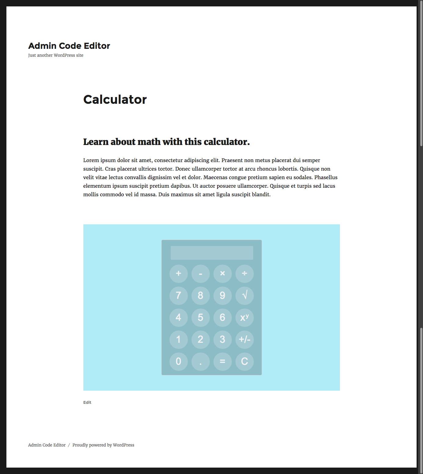 The Admin Code Editor HTML, CSS, and JavaScript is output below the regular post content.