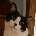 RA-User Avatar Image