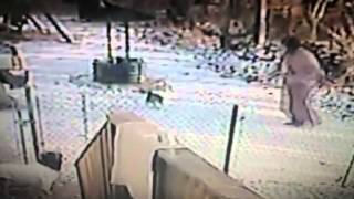 Viewer Video: Cat attacks woman in the snow