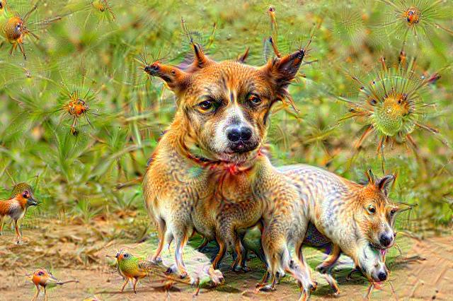 Deepdream