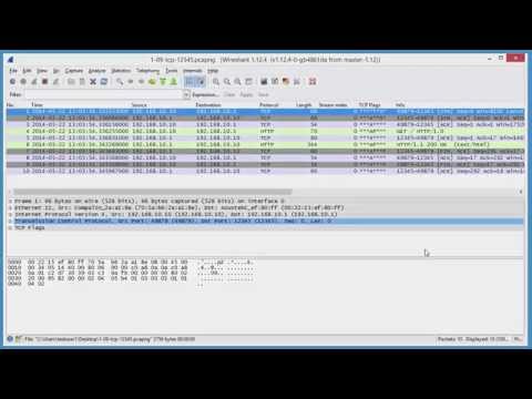 Wireshark Custom Dissectors