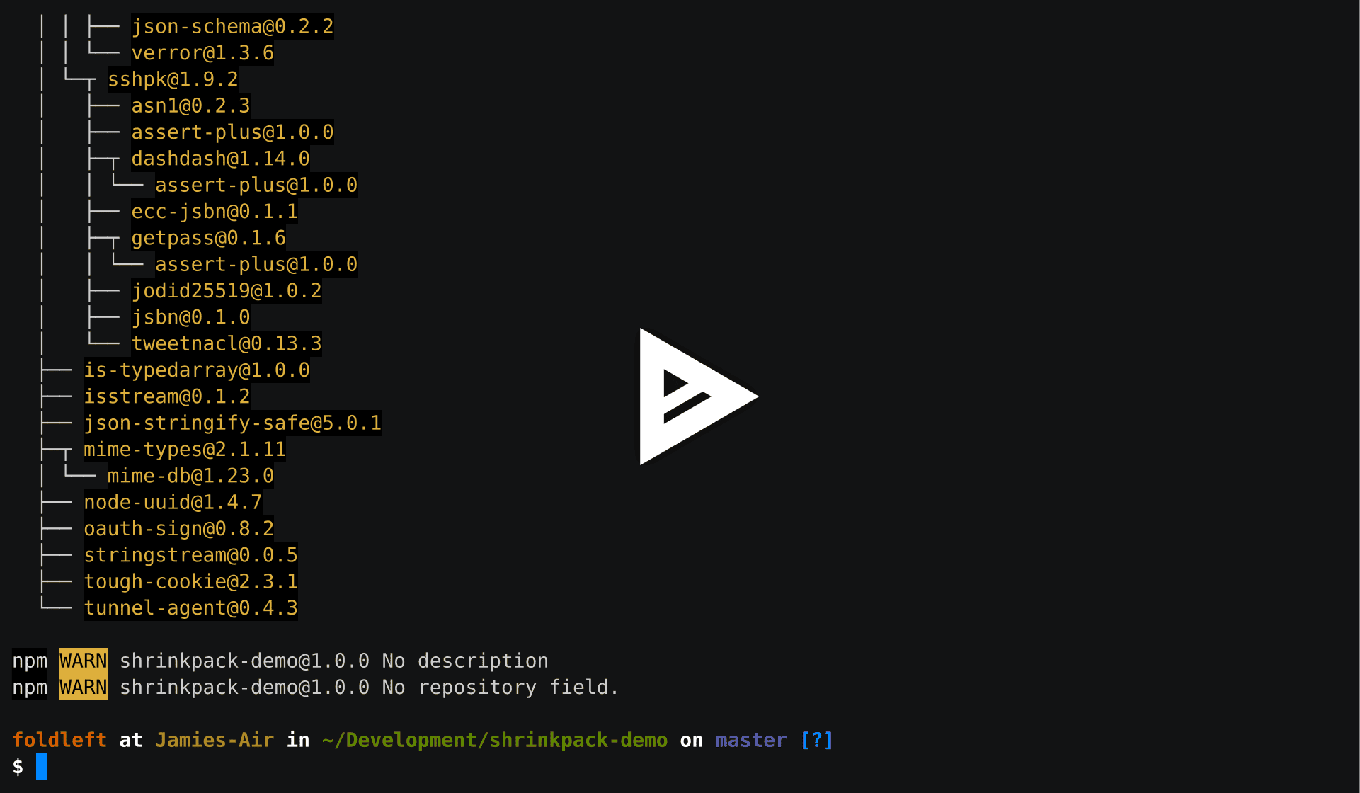 asciicast