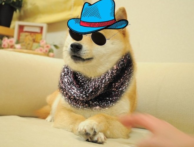 GitHub - MaceEsina/doge_builder: Build your own doge · GitHub