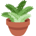 Potted plant