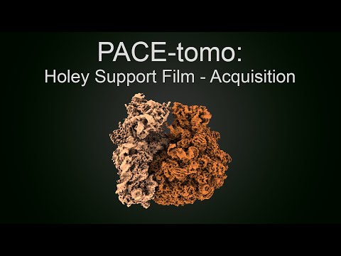 PACE-tomo: Holey Support Film - Acquisition