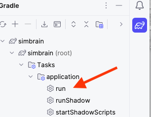 run task in intellij