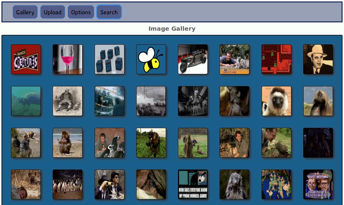 Front page view of photo management website and demonstration of search modal