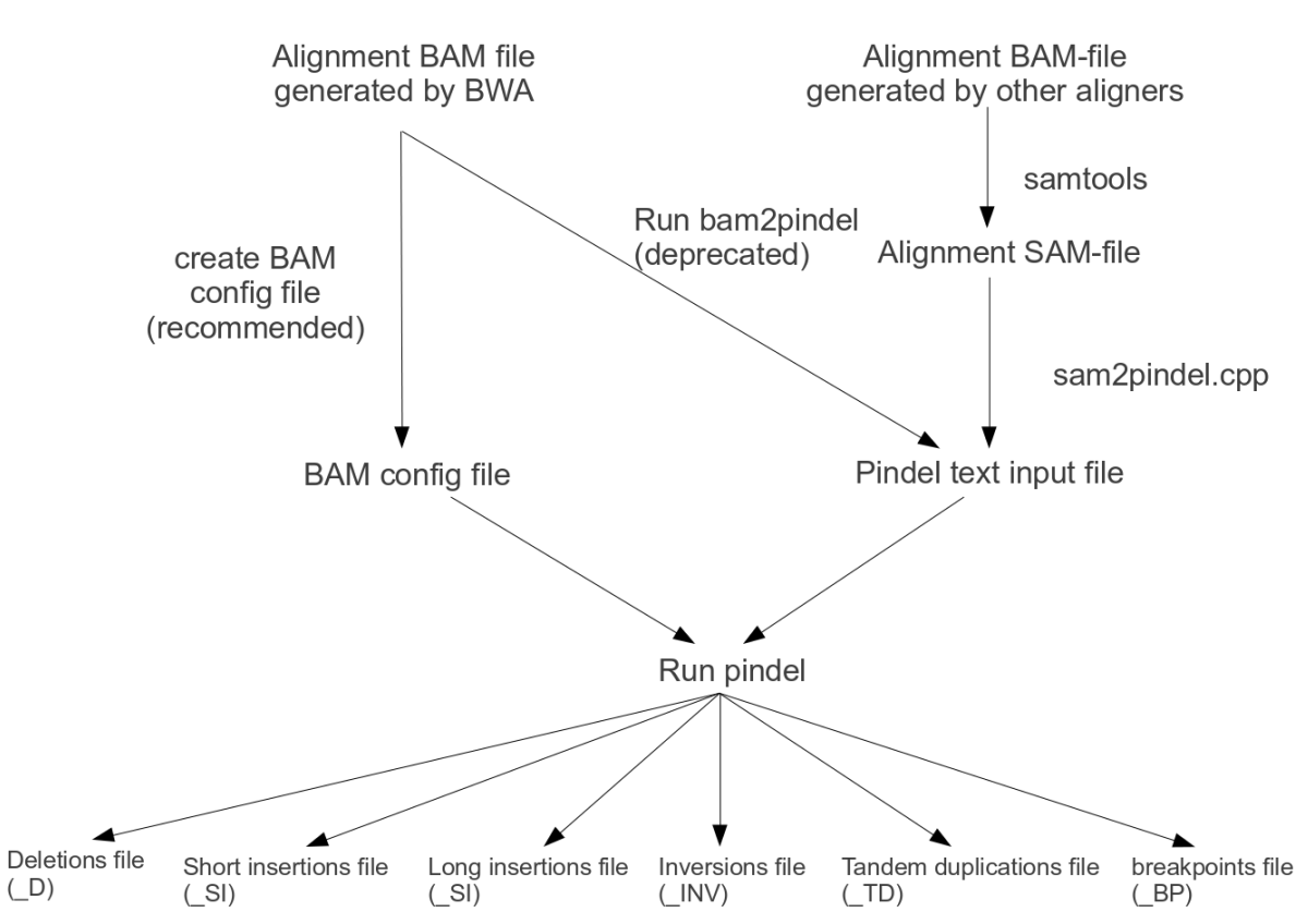 General Workflow