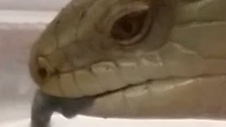 important announcement