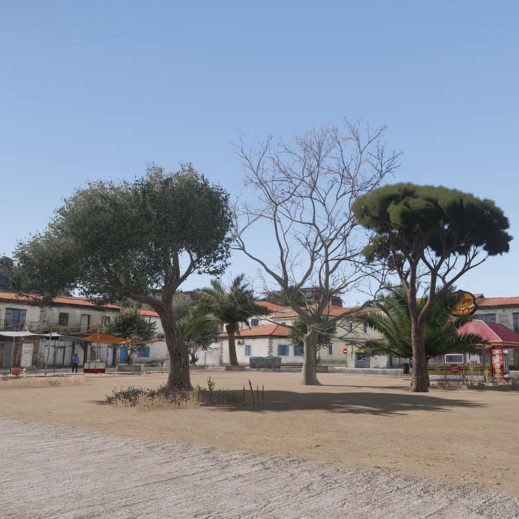 Trees in Kavala