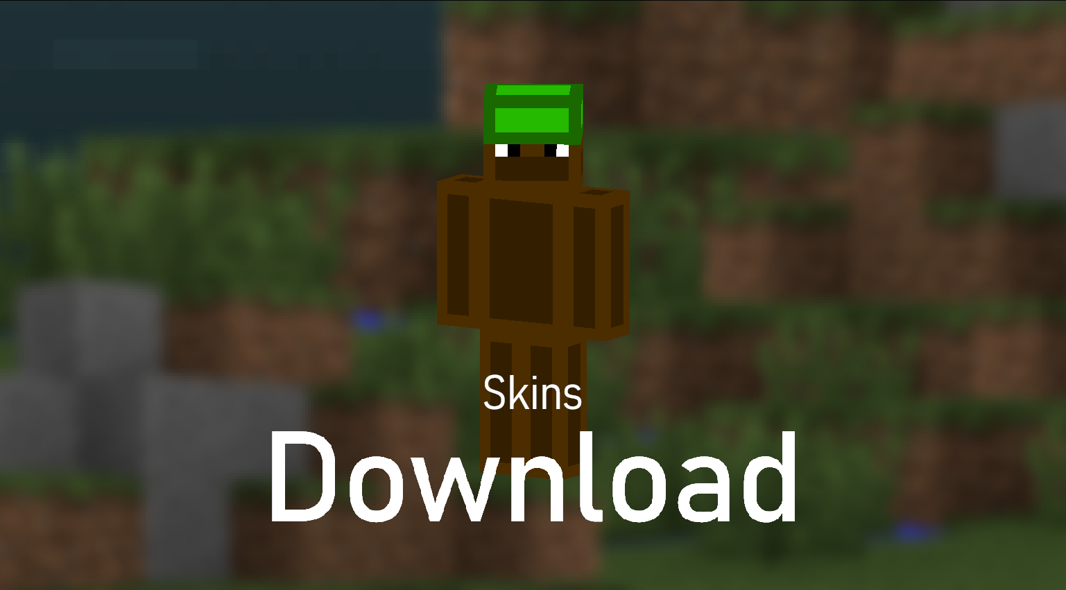 Download Skins Addon