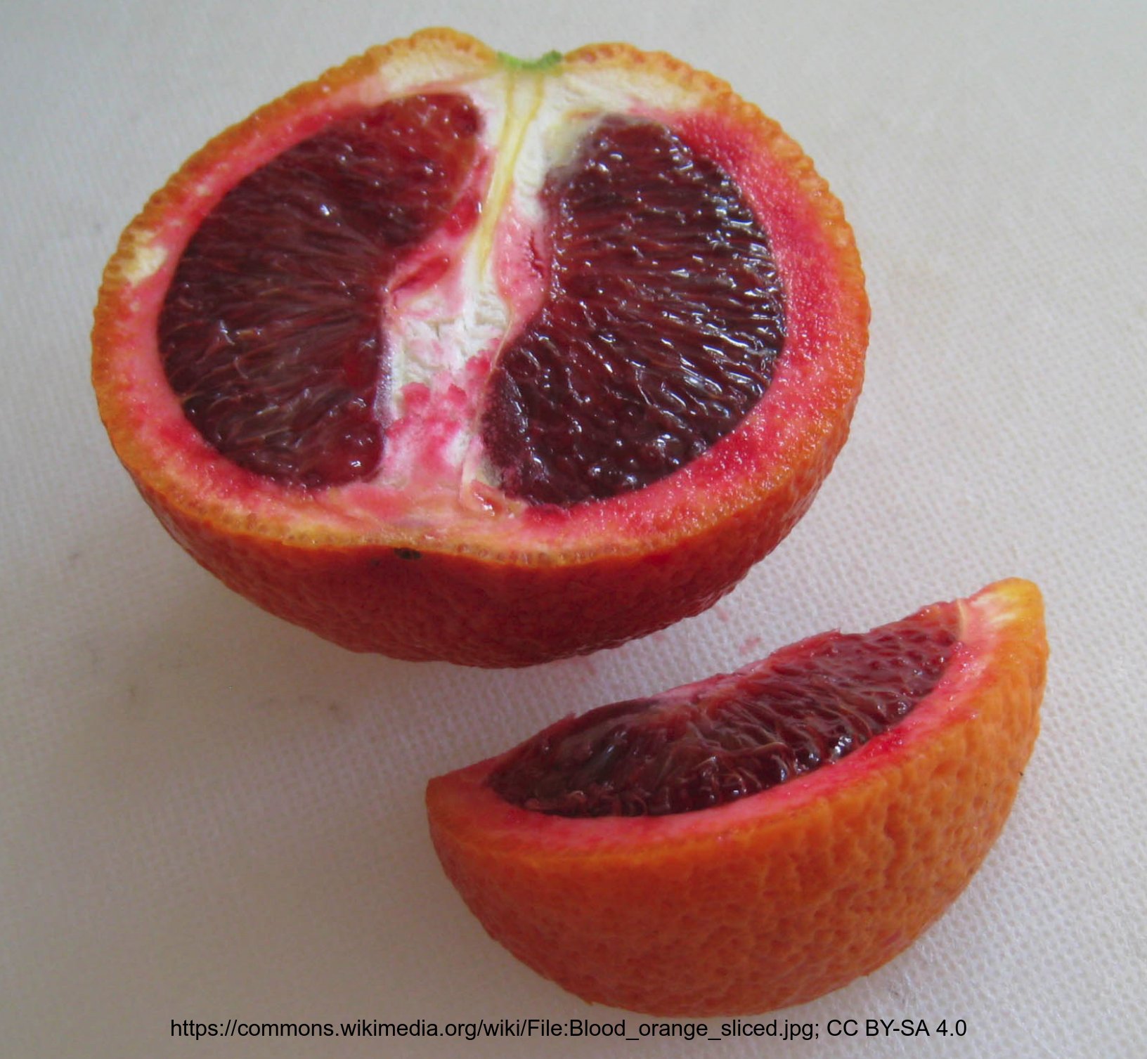 Genetic Basis of Pigmentation in Sicilian Blood Oranges