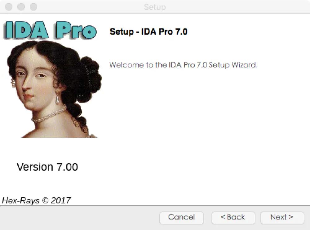 IDA Pro.png