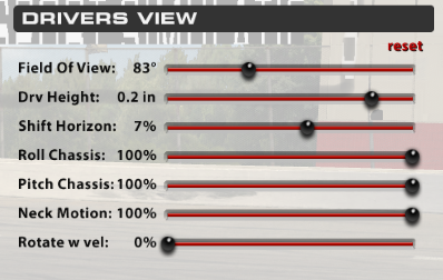 iRacing Driver View Sliders