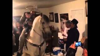 Horse house party.