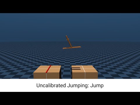 Uncalibrated Jumping Video