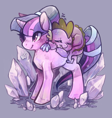 pony image